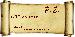 Páles Erik névjegykártya