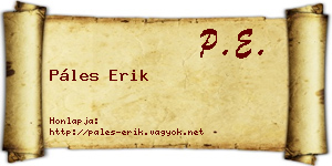 Páles Erik névjegykártya